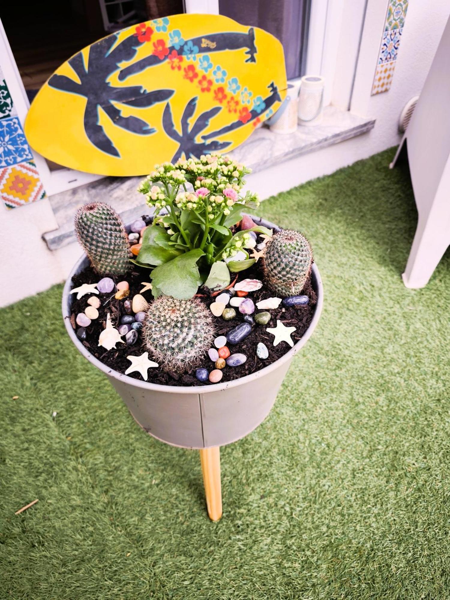 Lemontree Qse Centro Appartement